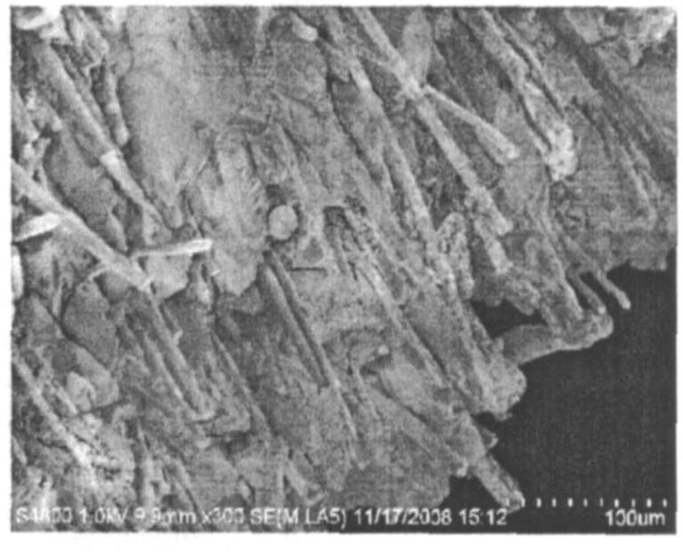 纖維增強(qiáng)SiO<sub>2</sub>氣凝膠隔熱復(fù)合材料的制備及其性能