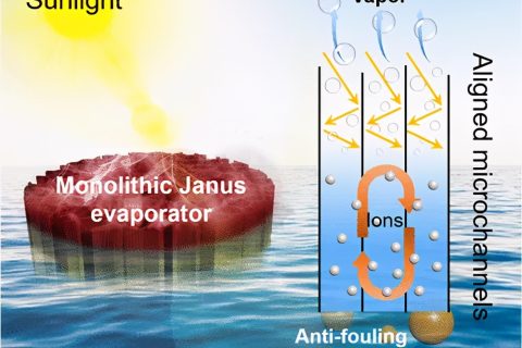具有防污和減鹽特性的自給自足的Janus氣凝膠，用于穩(wěn)定日光蒸發(fā)