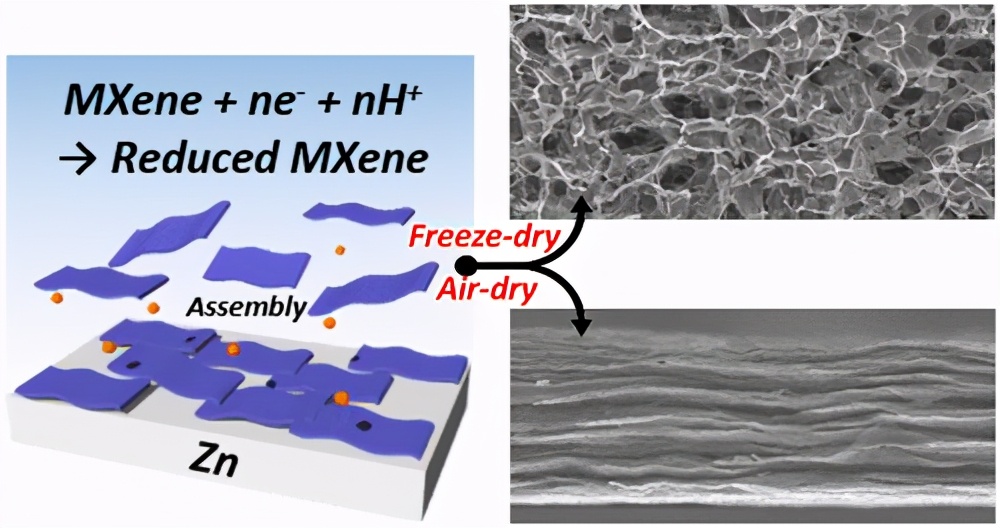 ACS Nano:界面電化學(xué)自組裝多維 Ti3C2Tx MXene 架構(gòu)及水-氣凝膠應(yīng)用