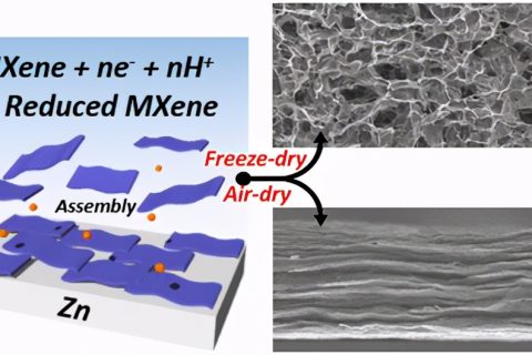 ACS Nano:界面電化學自組裝多維 Ti3C2Tx MXene 架構(gòu)及水-氣凝膠應用