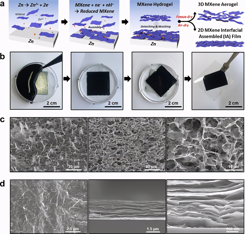 ACS Nano:界面電化學(xué)自組裝多維 Ti3C2Tx MXene 架構(gòu)及水-氣凝膠應(yīng)用