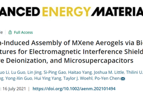 金屬離子誘導(dǎo)MXene氣凝膠，用于電磁干擾屏蔽和微型超級電容器