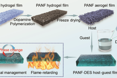 阻燃芳綸納米纖維氣凝膠-低共熔相變溶劑主客體復合薄膜研究獲進展