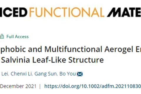 復(fù)旦大學(xué)游波教授《AFM》：仿生丹參葉狀結(jié)構(gòu)的超疏水多功能氣凝膠！