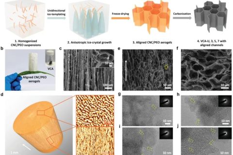 首次通過控制冰模板法冷卻速率實現高性能碳氣凝膠負極！