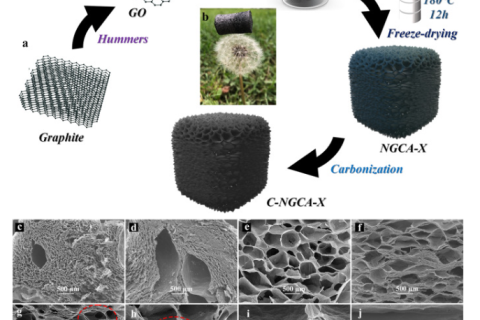 受深海玻璃海綿骨架啟發(fā)的超耐用石墨烯氣凝膠