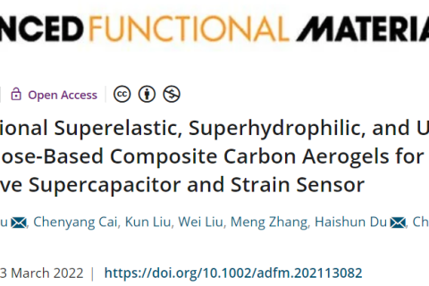 超彈、超輕、超親水的多功能CNF/CNT/RGO碳?xì)饽z！
